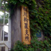 京町と旧拘置所の蔦