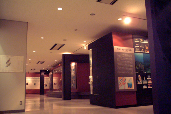佐渡博物館展示室
