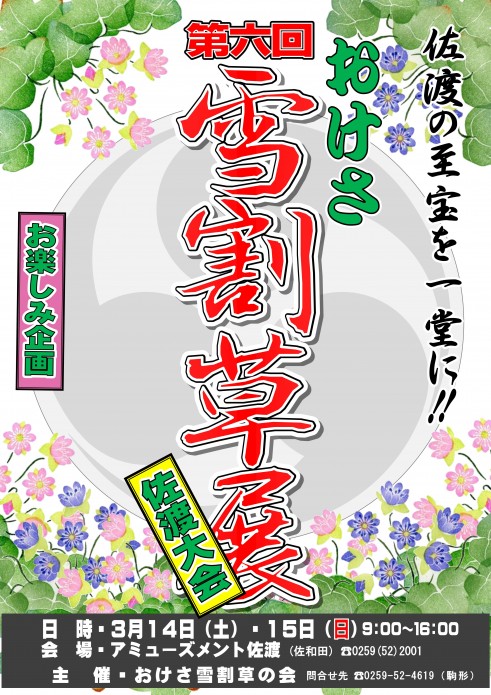 2015おけさ雪割草展